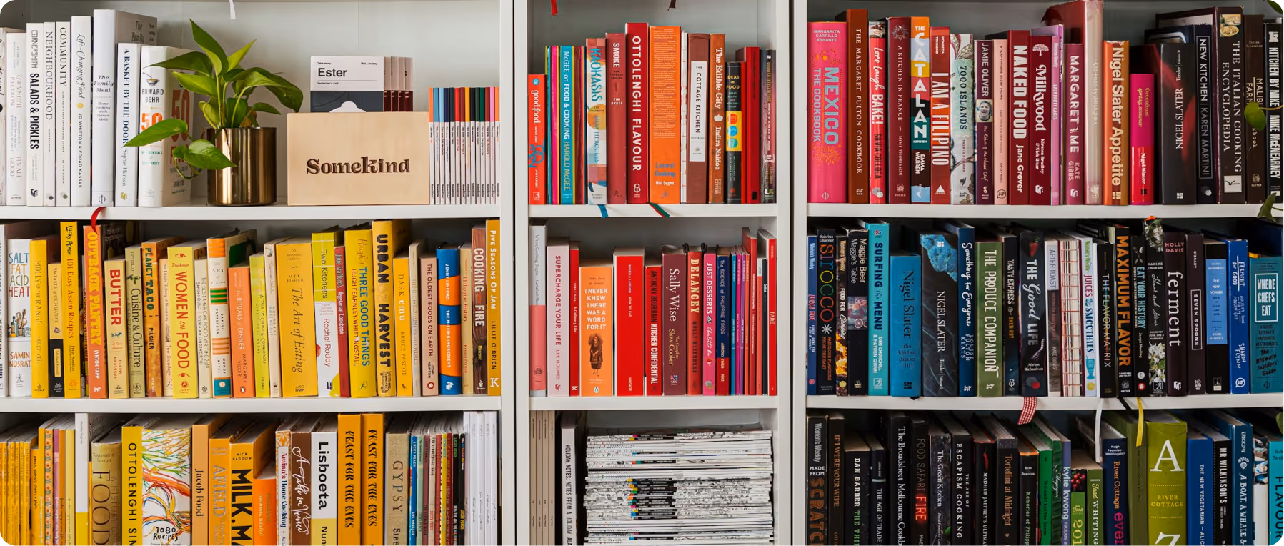 Shelves of colorful books sorted by color